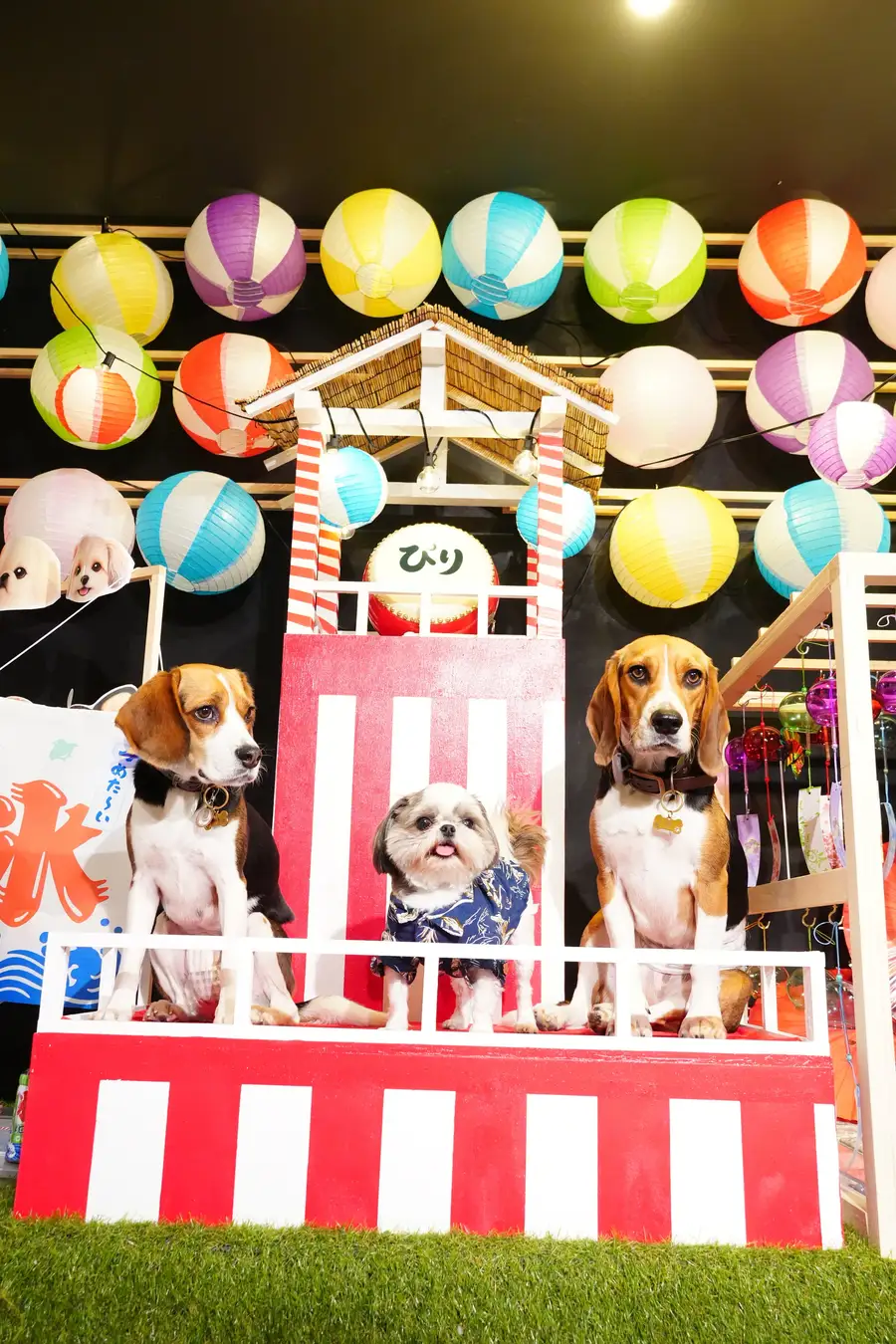 PILIイベントイメージ